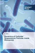 Dynamics of Colloidal Suspensions Particles inside Mesopores