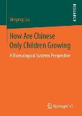 How Are Chinese Only Children Growing: A Bioecological Systems Perspective
