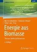 Energie Aus Biomasse: Thermo-Chemische Konversion