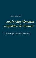 ...und in den Flammen vergl?hten die Tr?ume!: Erz?hlungen von H.G. Herberz