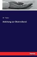 Anleitung zur Obstrreiberei