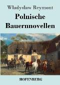 Polnische Bauernnovellen