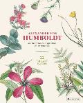 Alexander von Humboldt Botanical Illustrations 22 Pull Out Posters
