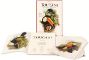 John Gould: The Family of Toucans