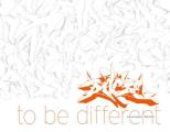 Dare to Be Different: Sigi Von Koeding ] 1968-2010