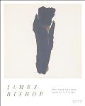 James Bishop: Paintings on Paper Malerei Auf Papier