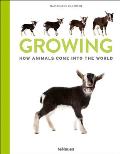 Growing: How Animals Come Into Our World