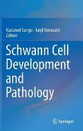 Schwann Cell Development & Pathology