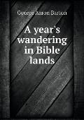 A year's wandering in Bible lands