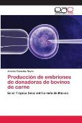 Producci?n de embriones de donadoras de bovinos de carne