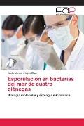 Esporulaci?n en bacterias del mar de cuatro ci?negas