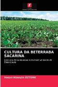 Cultura Da Beterraba Sacarina