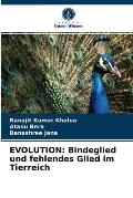 Evolution: Bindeglied und fehlendes Glied im Tierreich