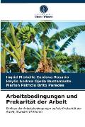Arbeitsbedingungen und Prekarit?t der Arbeit