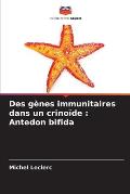 Des g?nes immunitaires dans un crino?de: Antedon bifida