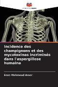 Incidence des champignons et des mycotoxines incrimin?s dans l'aspergillose humaine