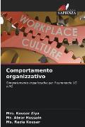 Comportamento organizzativo