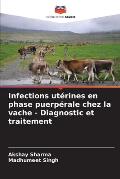 Infections ut?rines en phase puerp?rale chez la vache - Diagnostic et traitement