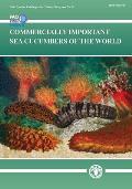 Commercially Important Sea Cucumbers of the World