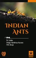 Indian Ants