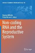 Non-Coding RNA and the Reproductive System
