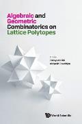 Algebraic and Geometric Combinatorics on Lattice Polytopes