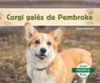 Corgi Gal?s de Pembroke (Pembroke Welsh Corgis)