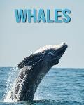 Whales: Fascinating Whales Facts for Kids with Stunning Pictures!