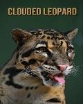 Clouded Leopard: Fun Facts & Cool Pictures