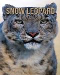 Snow Leopard: Fun Facts & Cool Pictures