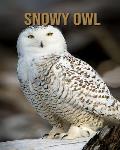Snowy owl: Fun Facts & Cool Pictures