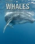Whales: Amazing Photos & Fun Facts Book About Whales For Kids