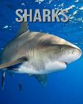Sharks: Amazing Pictures and Facts About Sharks