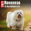 Calendar 2021 Havanese: Cute Havanese Photos Monthly Mini Calendar With Inspirational Quotes each Month
